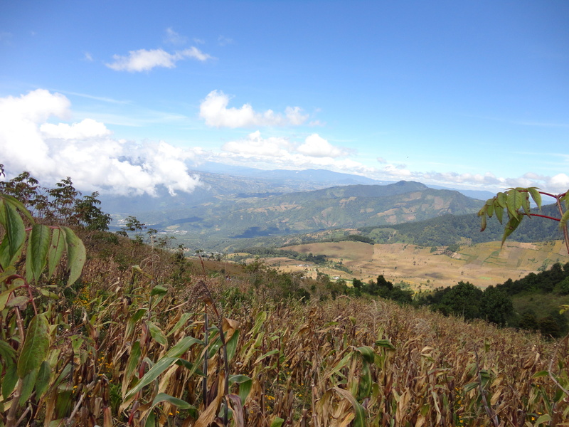 green color, no people, sky, day, growth, plant, guatemala, view volcan, mountain, scenics - nature, rural scene, tranquility, mountain range, environment