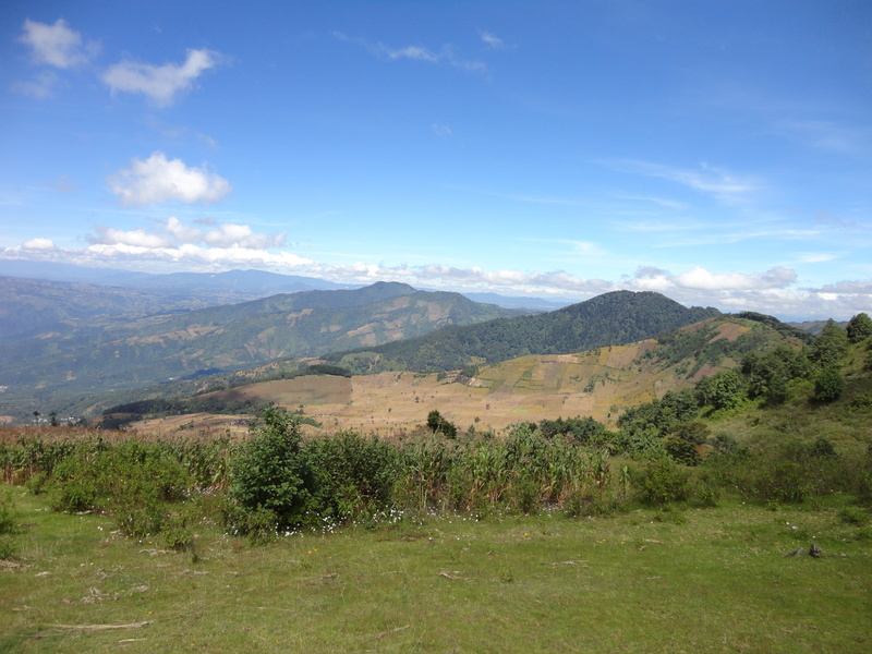 tree, idyllic, acatenango, cloud - sky, plant, tranquility, volcano, nature, guatemala, environment, remote, mountain, view volcan, day, grass, beauty in nature