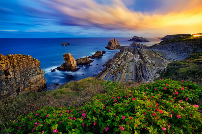 sunset, Bay of Biscay, 1080P, sea, Costa Quebrada, flowers, rocks, coast, The Bay of Biscay, Cantabria, Spain
