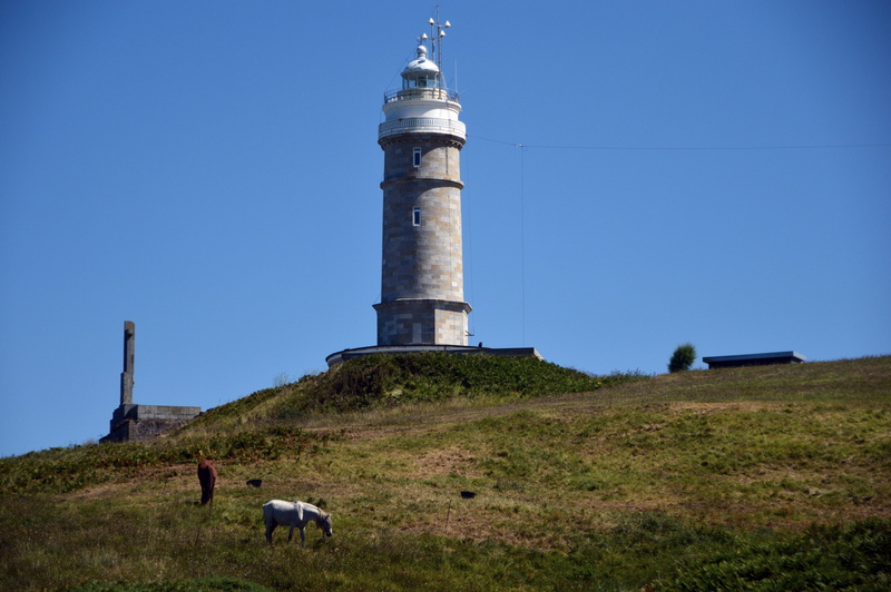 day, sky, mammal, field, landscapes, landscape, costa, beauty, grass, 5K, guidance, tower, domestic animals, architecture, asturias, tourist, bay of biscay