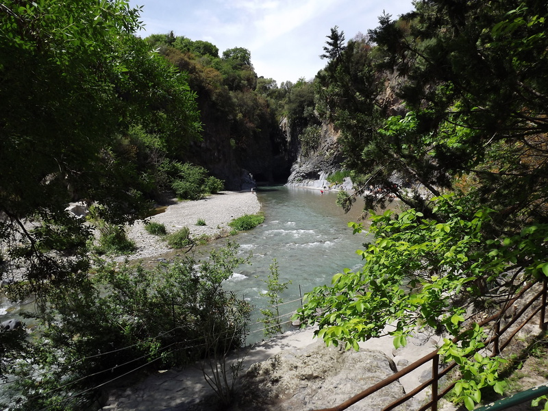 land, leisure activity, tree, water, beauty in nature, growth, forest, day, real people, lifestyles, catania, gorges, river, plant, alcantara, outdoors
