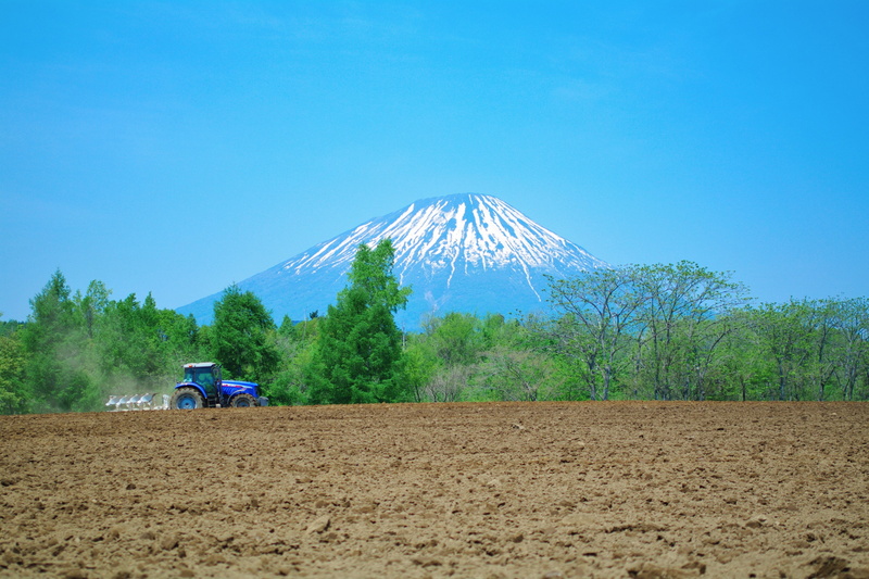 agriculture, day, niseko, land vehicle, land, landscape, potato, scenics - nature, countryside, green, mood, machinery, beauty in nature, 4K, blue, outdoors