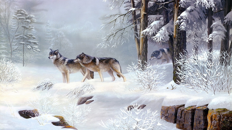 drawing, snow, winter, 1080P, digital/artwork, wolf, hd