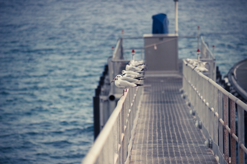 italy, railing, nature, 5K, sailboat, motion, in a row, outdoors, direction, no people, sunlight, the way forward, day, pier, selective focus, rope, transportation