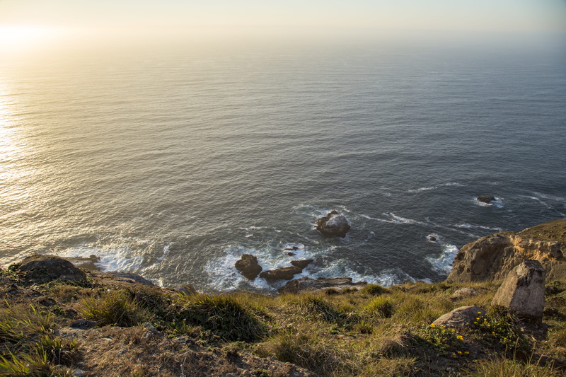 lighthouse, united states, land, high angle view, california, day, tranquility, sunset, wave, inverness, plant, the point reyes lighthouse, outdoors, tranquil scene