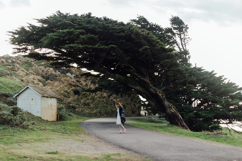 leisure activity, leaning tree, house, point reyes, trees, outdoors, one person, nature, girl, growth, white dress, sky, united states, tree, point reyes lighthouse