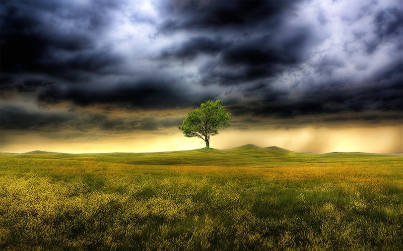 fantasy, 1080P, 3d and abstract, tree, gather, clouds, abstract, storm