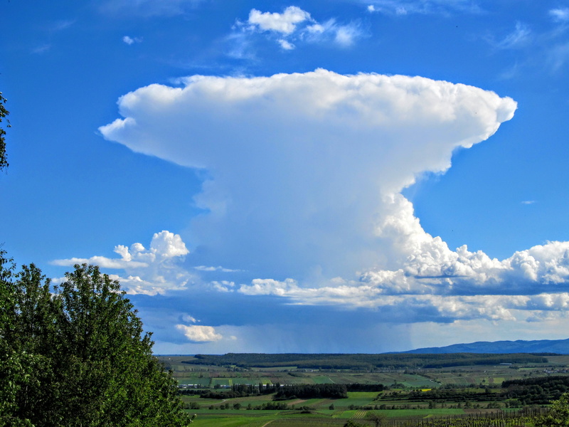 storm, thunderstorm cloud, Weather, Cloud, grass, the gathering storm, scenics, horizon over land, scenics - nature, nature, blue, semi-arid, landscape