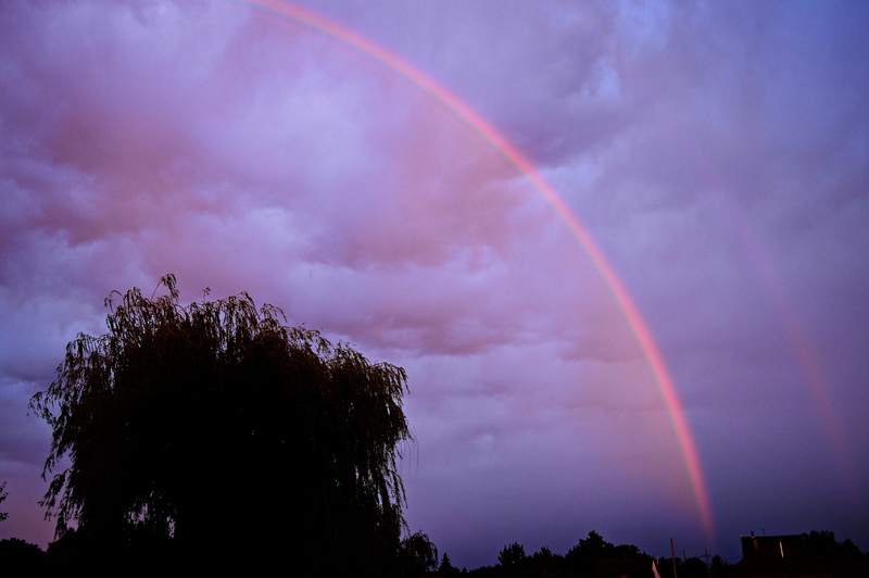 architecture, tree, silhouette, 5K, sky, purple, sunset, beauty in nature, rainbow, storm, plant, multi colored, scenics - nature, wet, thunderstorm, clouds
