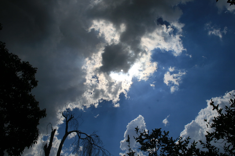 beauty in nature, Gathering, white color, plant, meteorology, Clouds, tranquil scene, no people, branch, blue sky, trees, tranquility, tree, storm building