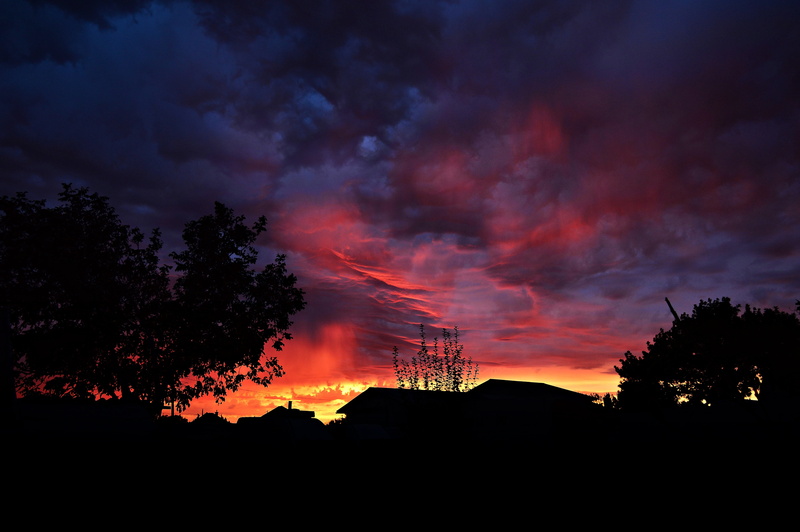 lights, idyllic, golden, night, no people, silhouette, plant, night lights, sky, nightfall, dramatic sky, orange color, dusk, cloud - sky, in the evening