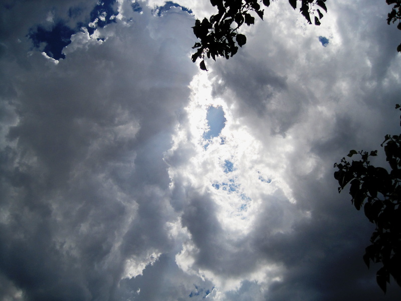 storm, no People, outdoors, weather, silhouette, tree, day, plant, dramatic Sky, backgrounds, moody Sky, scenics - nature, white color, summer, beauty in nature
