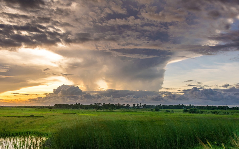 outdoors, grass, green color, 2K, gathering, sunset, scenics - nature, plant, no people, storm, summer, environment, land, wallp, tranquil scene, sky
