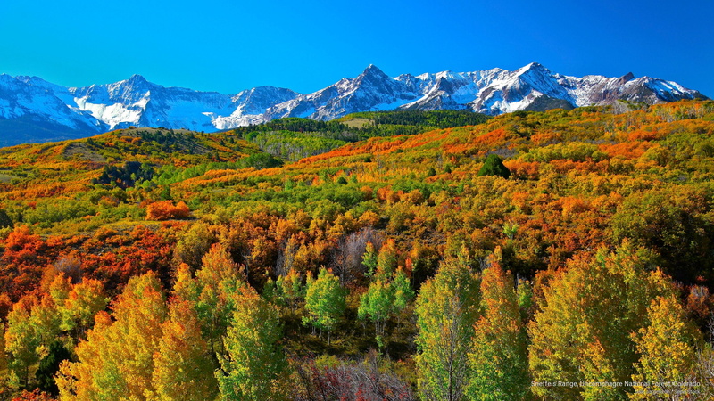 sneffels, uncomphagre, colorado, national, 2K, range, Fall, forest