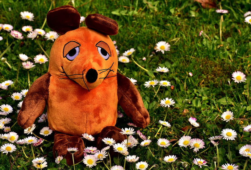 teddy bear, vulnerability, mouse, art and craft, field, close-up, soft toy, nature, fragility, animal, flower, 5K, freshness, outdoors, flowersr, toys