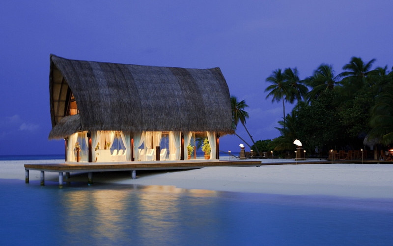 hd, architecture, house, houses, sea, art, EVENING, Lights, trees, 2K, 2560x1600 px, px, palm, PALM TREES, x, Holiday