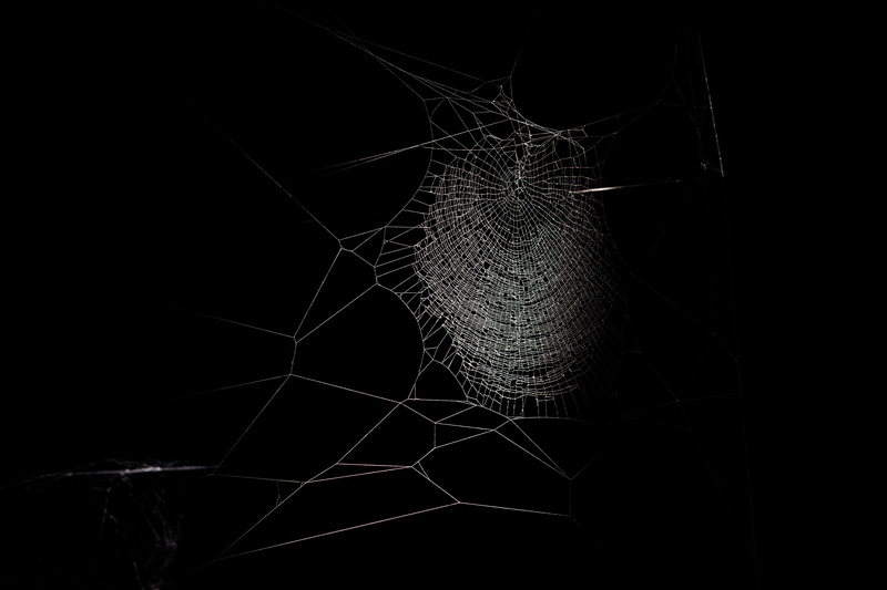 copy space, black, glass - material, vulnerability, mammal, painting, abstract, musical instrument, web, cat, black background, damaged, nature, sharp