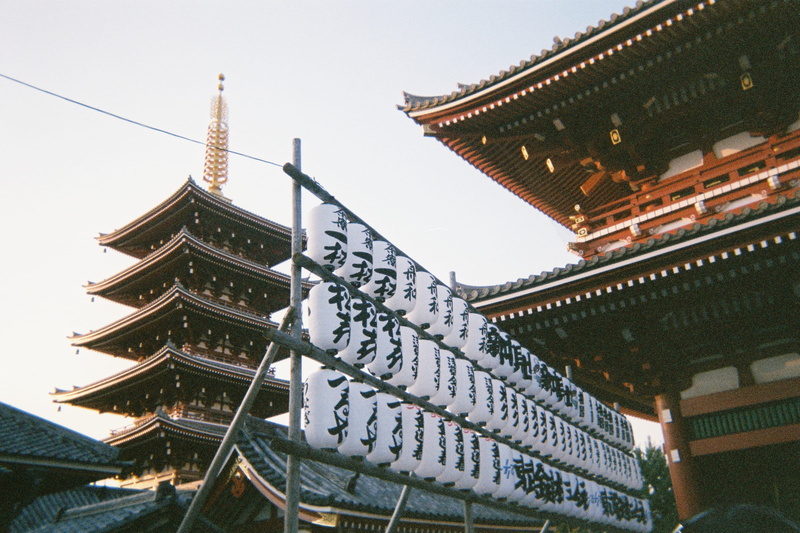 building, low angle view, town, religion, no people, city, column, roof, giraffe, animal, tire, 2K, metropolis, pillar, shrine, nature, spire, worship