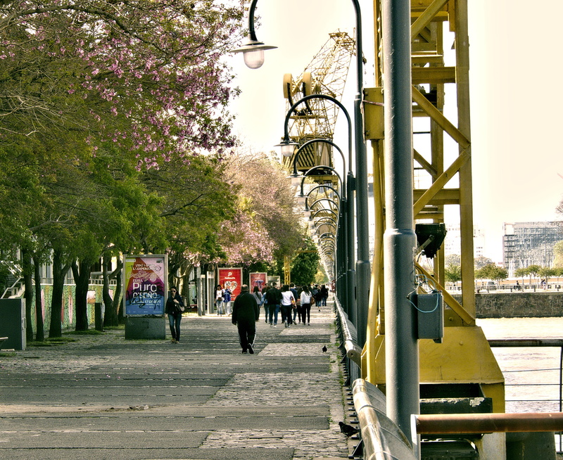 group of people, plant, people, walking, day, river, puerto madero, built structure, 4K, tree, argentina, outdoors, footpath, street light, transportation