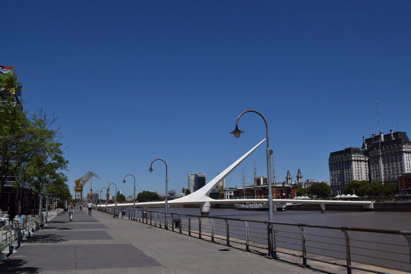 street, railing, transportation, office building exterior, buenos aires, direction, nature, outdoors, city, tree, puerto madero, built structure, street light