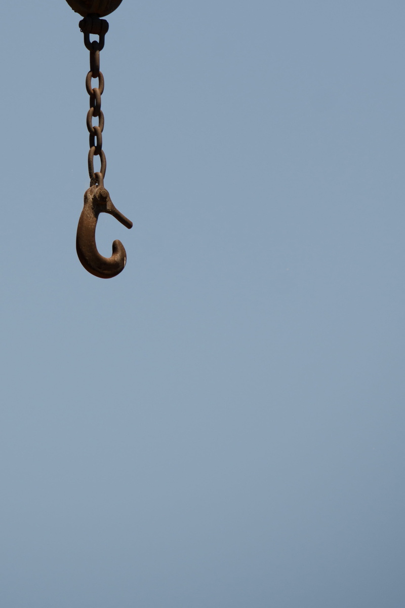 minimalism, metal, day, animal themes, clear sky, no people, hanging, outdoors, sunlight, mid-air, nature, hook, blue, crane, directly below, low angle view