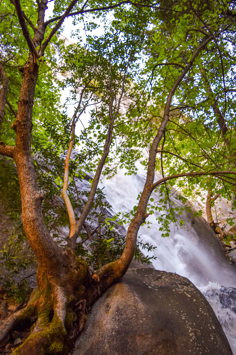 natural park, non-urban scene, flowing water, d5500, scenics - nature, rock, no people, hiking, royal arches, growth, plant, waterfall, nikon, tree trunk