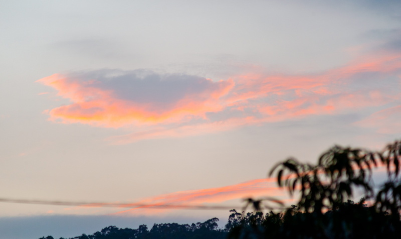 growth, no people, cloud - sky, romantic sky, nikon df, sunrise, clouds, tranquil scene, dusk, nikon, tree, outdoors, idyllic, trees, sky, nature, low angle view