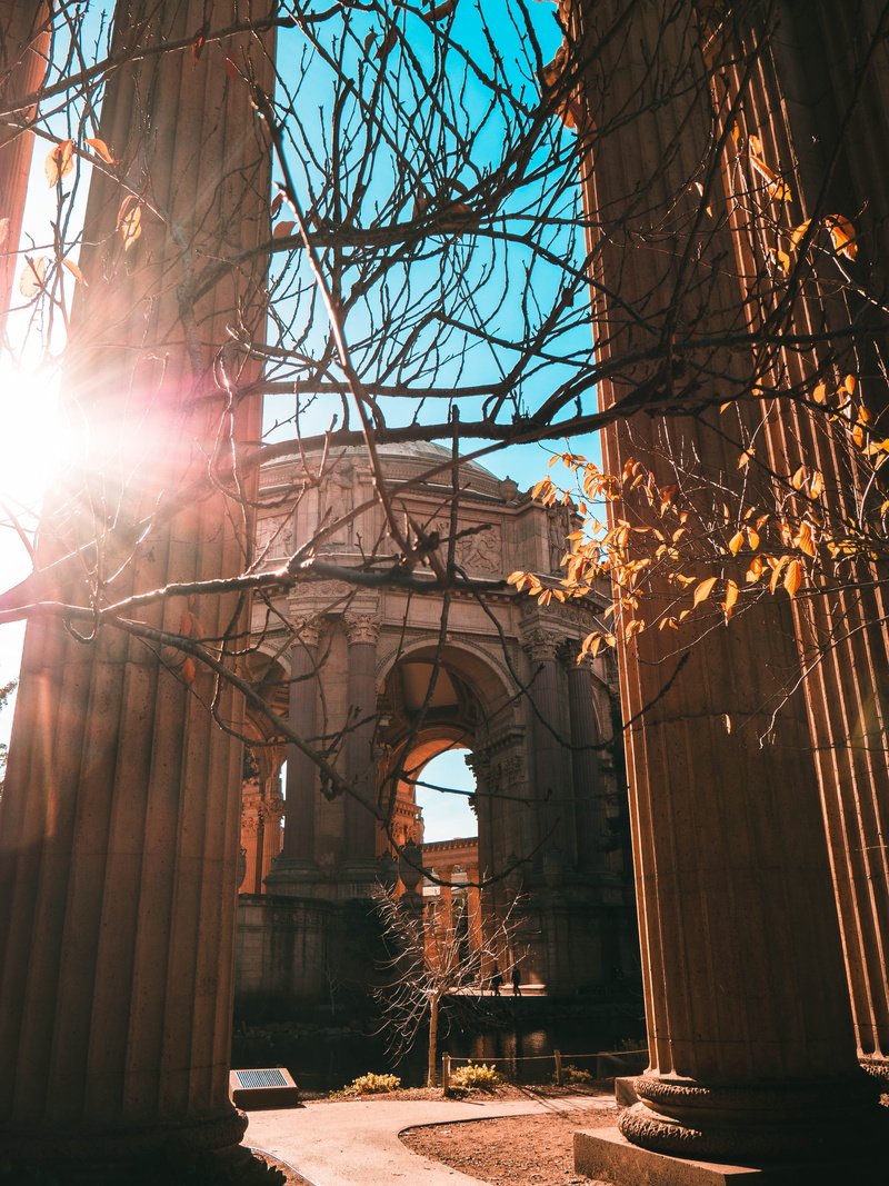 city, bright, architectural column, san fransisco, urban, building, bare tree, architecture, built structure, plant, sf, crypt, sunbeam, office building