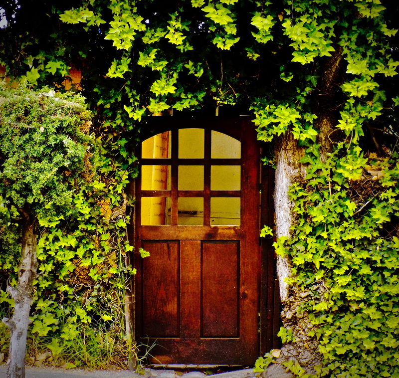 wood - material, day, building, nature, tree, home, door, 2K, outdoors, leaf, growth, architecture, no people, building exterior, green, ivy, entrance