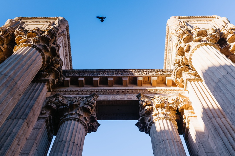 columns, architecture, tourism, nature, ancient, animal, column, no people, architectural column, bird, built structure, sky, san francisco, building exterior