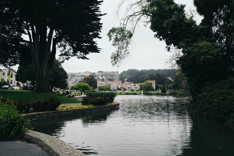 palace of fine arts, united states, water, sky, nature, plant, san francisco, 4K, palace of fine arts theatre, reflection, day, tree, architecture, no people
