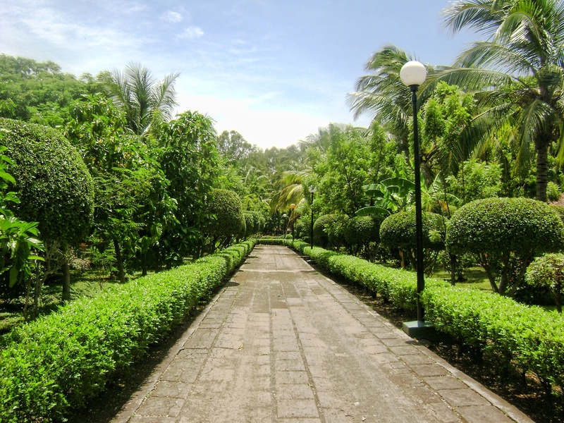 tree, tranquility, green Color, avenue, no people, footpath, the way forward, cloud - sky, alameda, park, beauty in nature, hedge, day, green, diminishing perspective