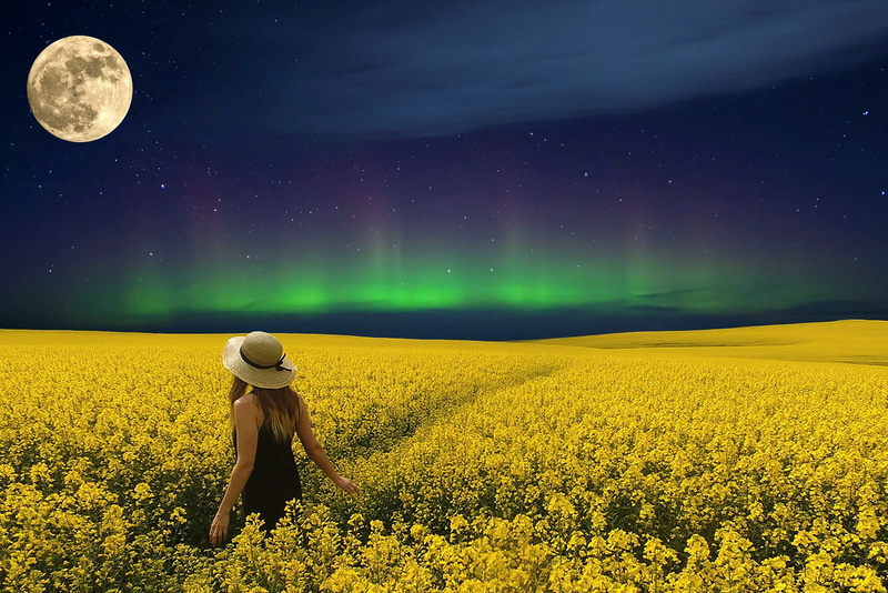 star - space, 2K, one person, moon, landscape, environment, cloud - sky, beauty in nature, adult, night, sunflower, north pole lights, dreams, land, dream world
