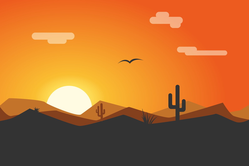 large group of animals, animals in the wild, mid-air, 4K, no people, flying, bird, vertebrate, animal, orange color, clear sky, group of animals, sunset