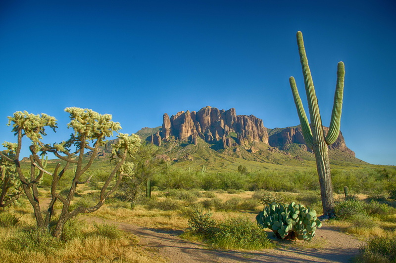 beauty in nature, succulent, scenics, no people, arid Climate, climate, 5K, rock, outdoors, nature, sky, land, mountain, blue, arizona, scenics - nature