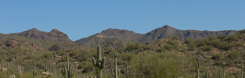 clear sky, sky, semi-arid, panoramic, vegetation, wilderness, plant, natural, arid climate, climate, outdoor, day, desert, 2K, scenics - nature, nature