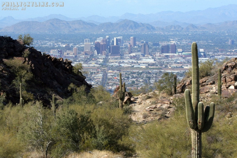 City, Phoenix, Desert, 480P, Cactus, Arizona, Earth