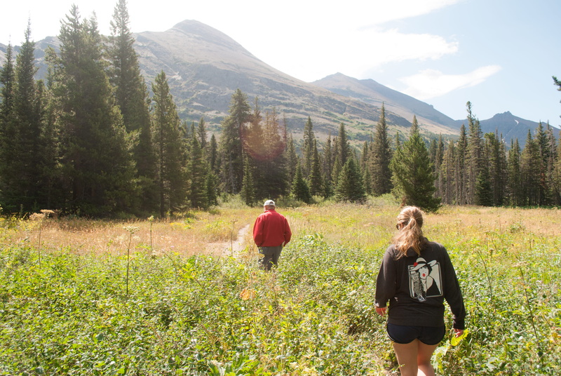 three quarter length, outdoors, montanta, day, women, people, rear view, forest, beauty in nature, tree, green color, walking, two medicine lake, nature