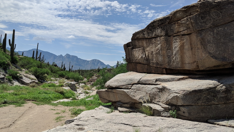 hieroglyphs, day, cactus, mountain, tranquility, plant, rock, backyard, arizona, sky, nature, tranquil scene, outdoors, sunset, physical geography, tucson