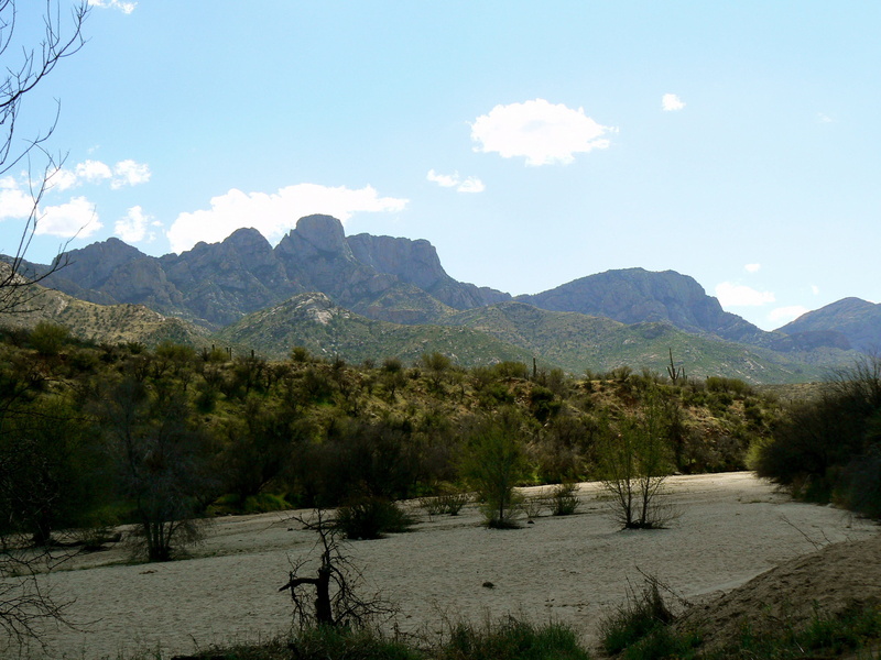 scenics, Catalina State Park, mountain range, oro, park, state, photos, plant, public domain, travel Locations, scenics - nature, tree, cloud - sky, growth