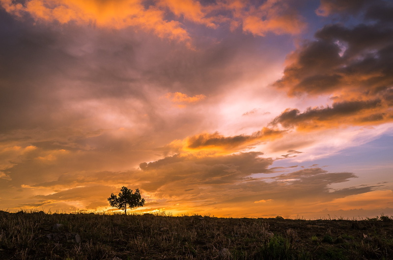 philippines, jpg, sunlight, cloudscape, tree, clouds, season, sunset, 1080P, bukidnon, dawn, silhouette, sunrise - Dawn, sun, sky, meadow, rural Scene