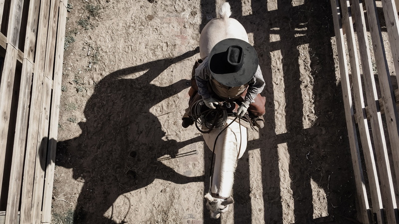construction Industry, stockyard, animal, shadow, outdoors, fortworth, people, gun, person, horse, men, wearing, man, work Helmet, war, riding, agriculture