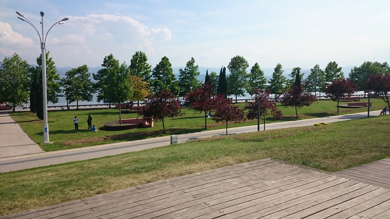 plant, trees, park bench, footpath, panoramic view, sky, tree, incidental people, 4K, tranquility, cloud - sky, nature, green color, day, growth, grass