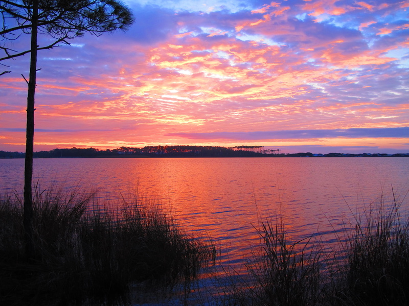 horizon over water, reflection, beach, sunset, 2K, nature, tree, sea, seaside, romantic sky, florida, idyllic, scenics - nature, land, grayton state park