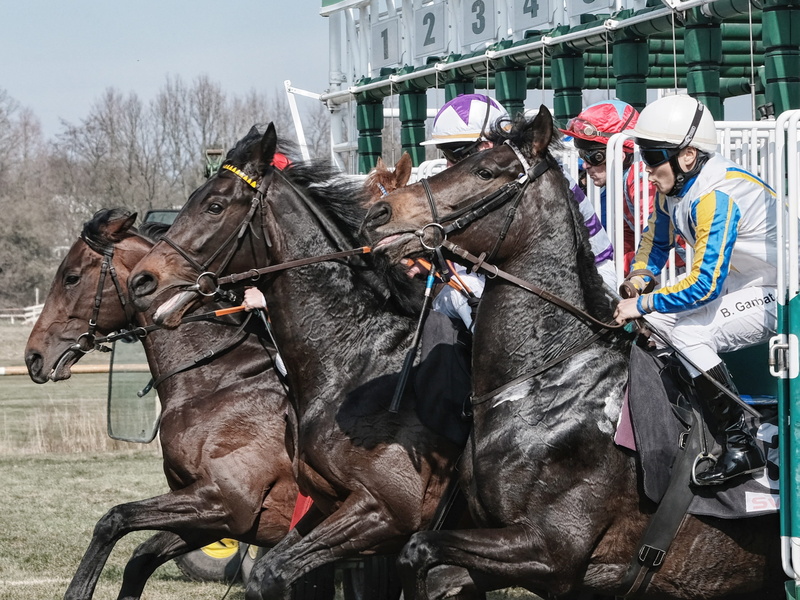 good friday, outdoors, domestic, riding, bremer rennverein, real people, herbivorous, horse racing, the day of the race, livestock, vertebrate, horse, mammal
