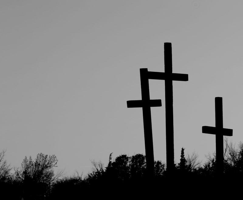 ground, silhouette, god, plant, religion, belief, copy space, crucifix, clear sky, cross shape, christianity, low angle view, sky, christian, 2K, symbol