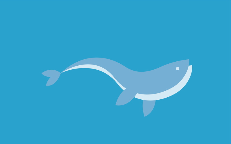 message, sky, close-up, wildlife, bird, simplicity, computer Graphic, fish, clip, gray, underwater, white color, vector, copy space, white, swim, whale