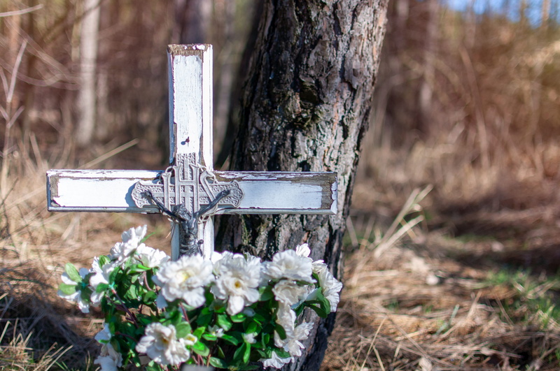 death, the tomb of, jesus, cemetery, stone, tree, belief, faith, god, day, trunk, cross, wood - material, flowering plant, 4K, grave, tomb, plant, bereavement