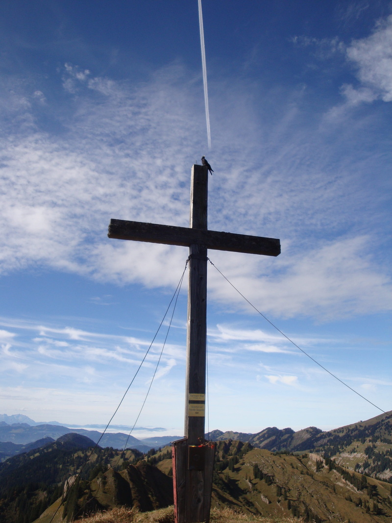 environment, tranquility, day, cross, no people, christianity, low angle view, nature, spirituality, church, cloud - sky, god, outdoors, scenics - nature