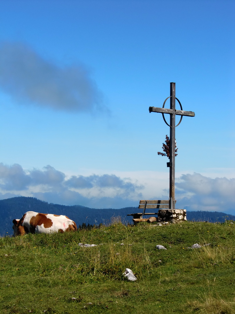 summit, animal, cross, mountain world, nature, cow, landscape, sky, panorama, livestock, outdoors, alpine, land, cloud - sky, believe, cattle, jesus, domestic
